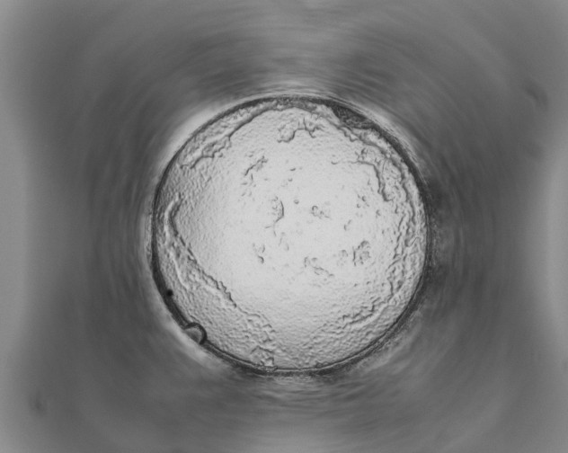 X0000111531383200908041256