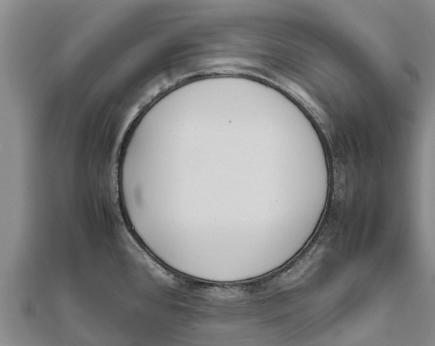 X0000111531384200908041256