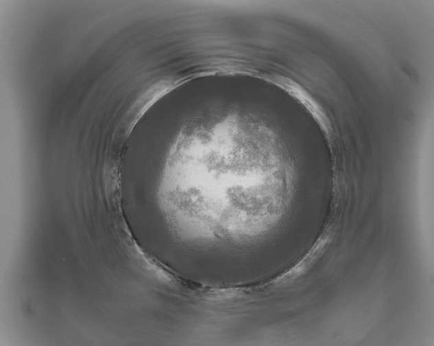 X0000111531385200908041256