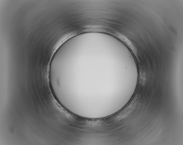 X0000111531386200908041256