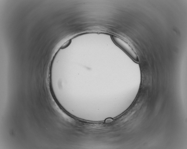 X0000111531387200908041256