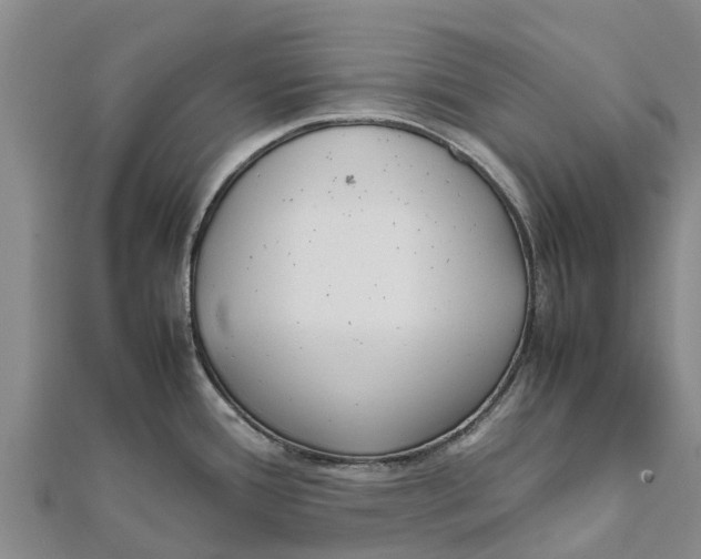 X0000111531388200908041256