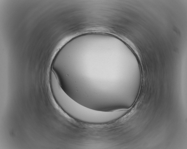 X0000111531389200908041256