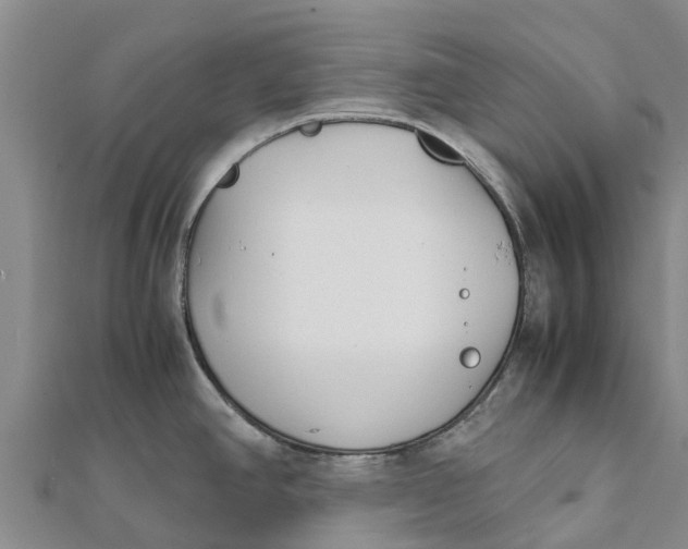 X0000111531390200908041256