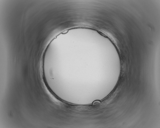 X0000111531391200908041255