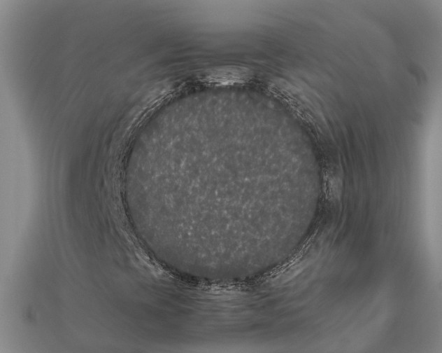 X0000111531393200908041255