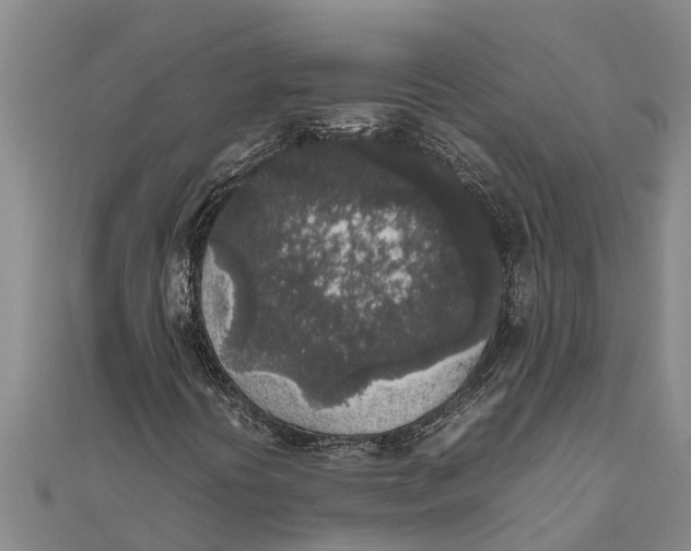 X0000111531394200908041255