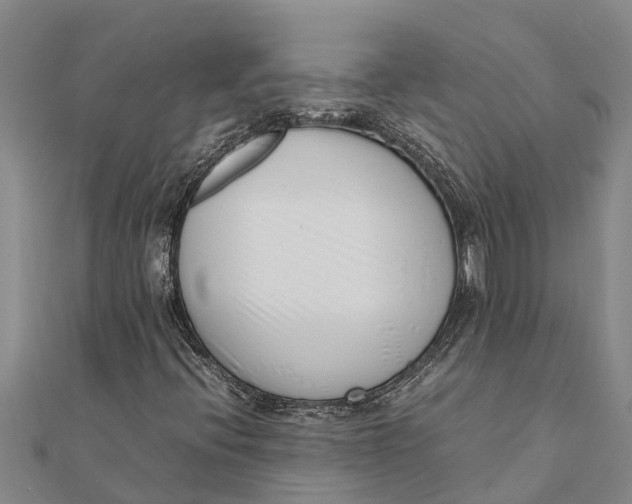 X0000111531396200908041255