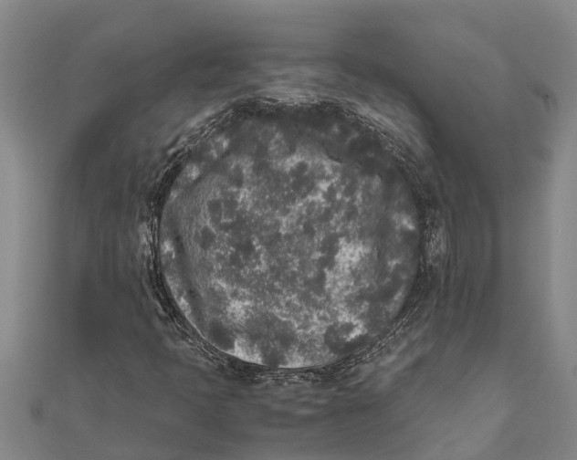 X0000111531397200908041255