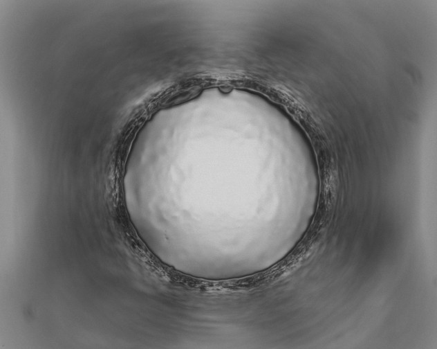 X0000111531398200908041255