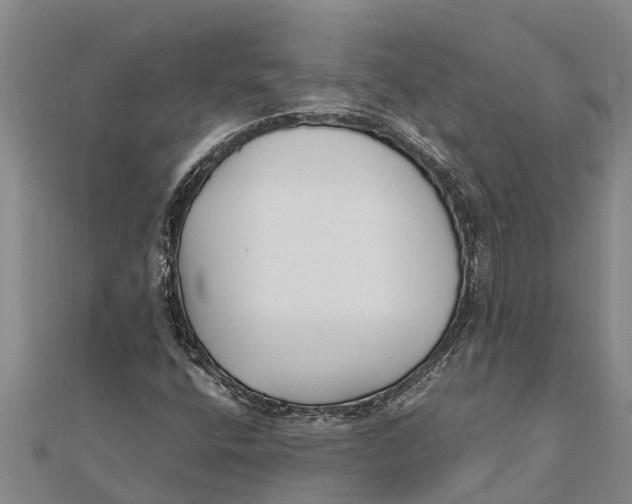 X0000111531400200908041255