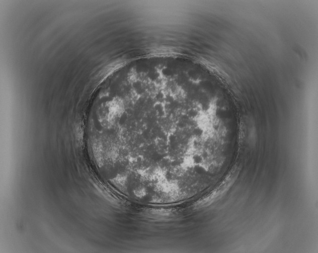 X0000111531401200908041255