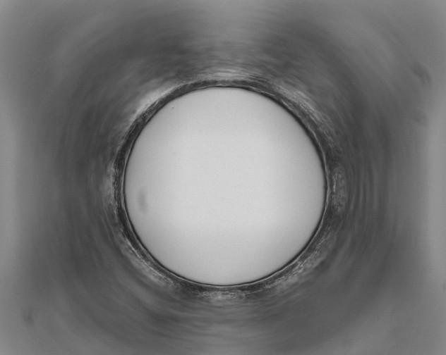 X0000111531404200908041255