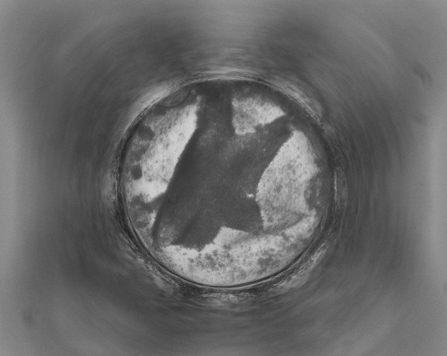 X0000111531405200908041255