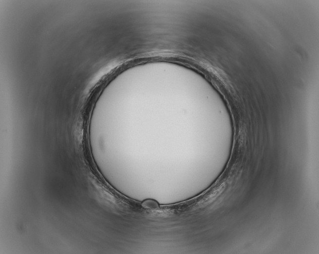 X0000111531406200908041255