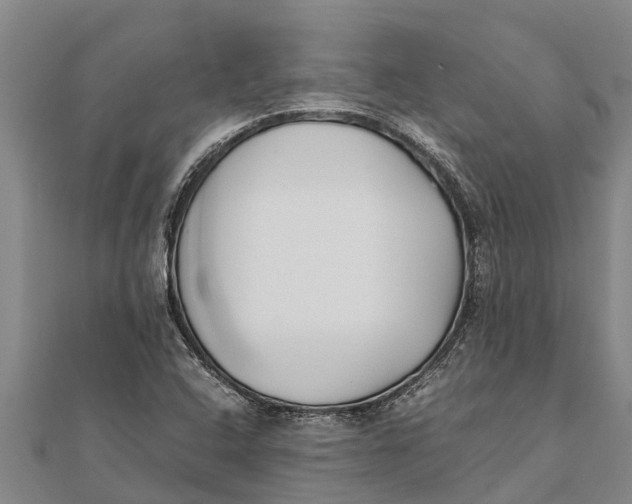 X0000111531408200908041255