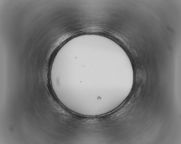 X0000111531410200908041255