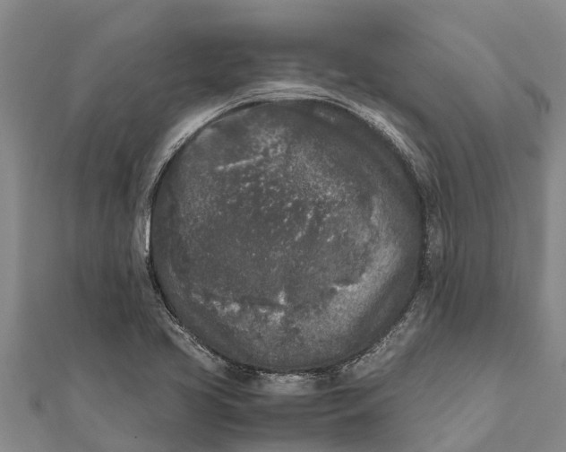 X0000111531413200908041255