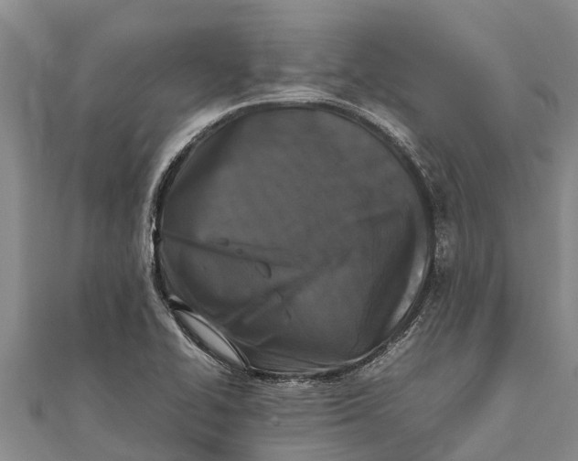 X0000111531414200908041255