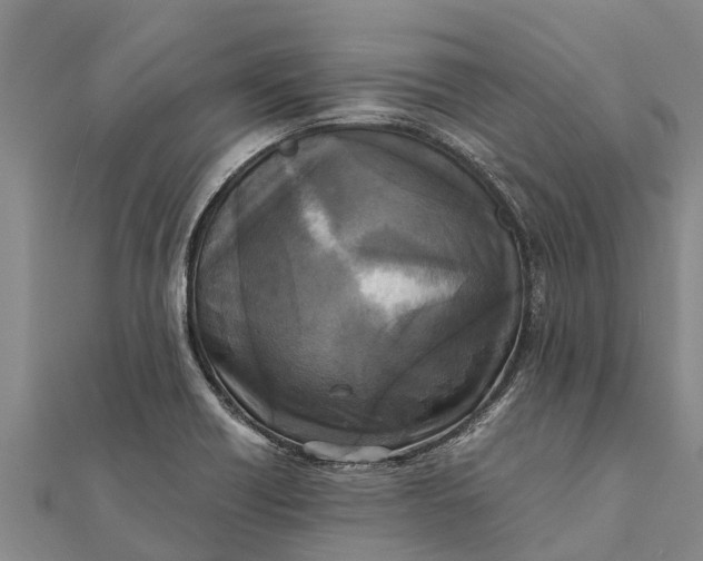 X0000111531418200908041255