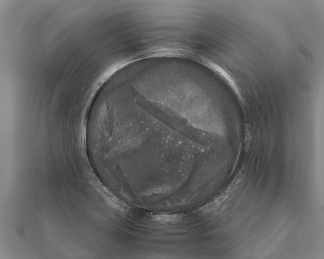 X0000111531419200908041255