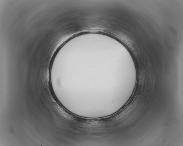 X0000111531420200908041255