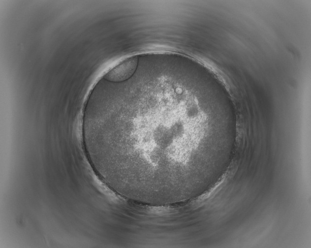 X0000111531421200908041255