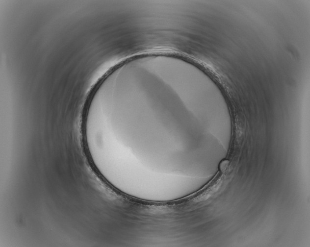 X0000111531422200908041255