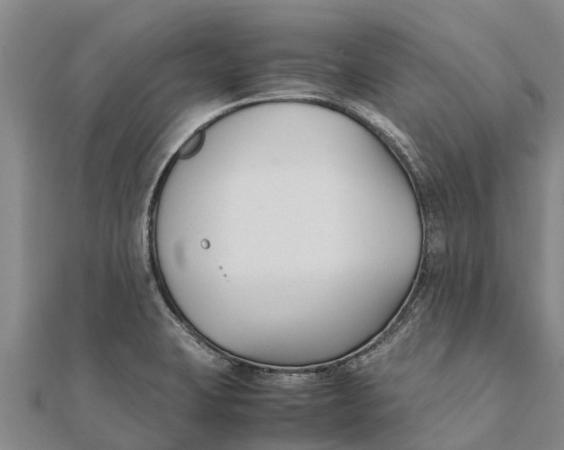 X0000111531423200908041255