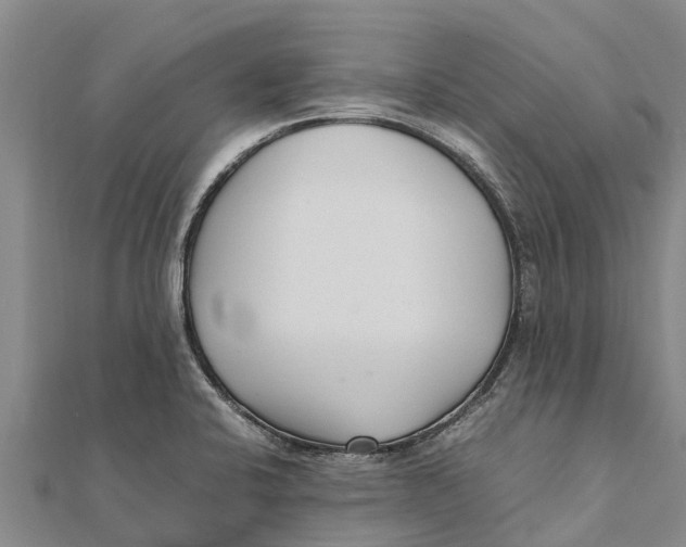 X0000111531424200908041255