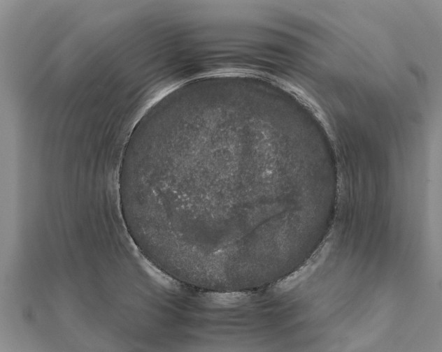 X0000111531425200908041255