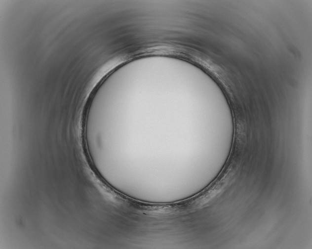 X0000111531426200908041255