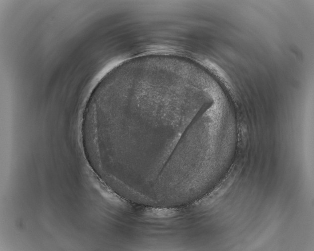 X0000111531427200908041255