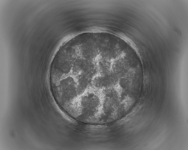 X0000111531429200908041255