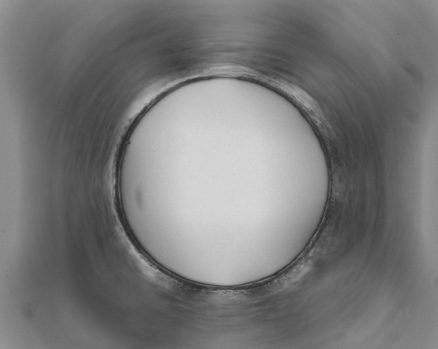 X0000111531430200908041255