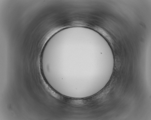 X0000111531431200908041255