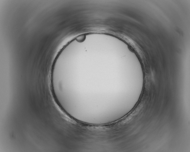 X0000111531432200908041255