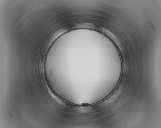 X0000111531433200908041255