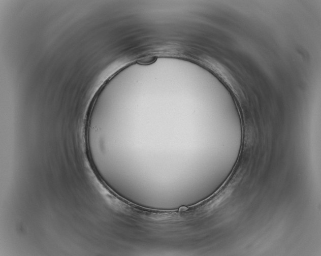 X0000111531434200908041255