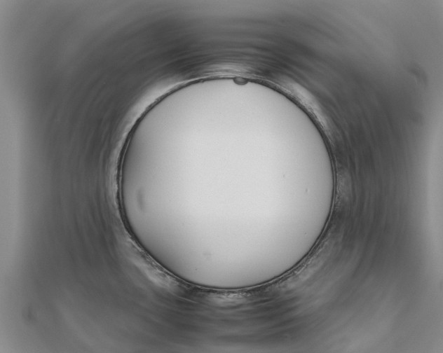 X0000111531435200908041255