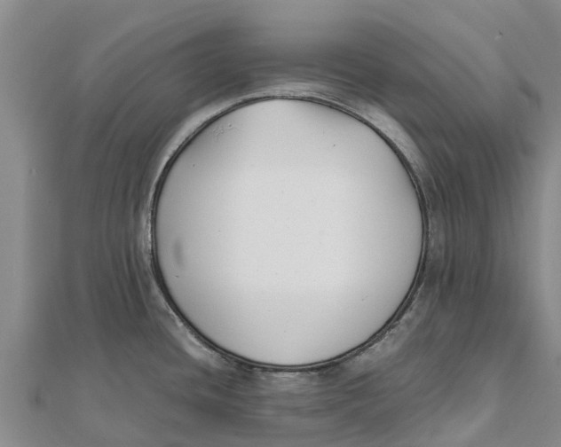 X0000111531436200908041255