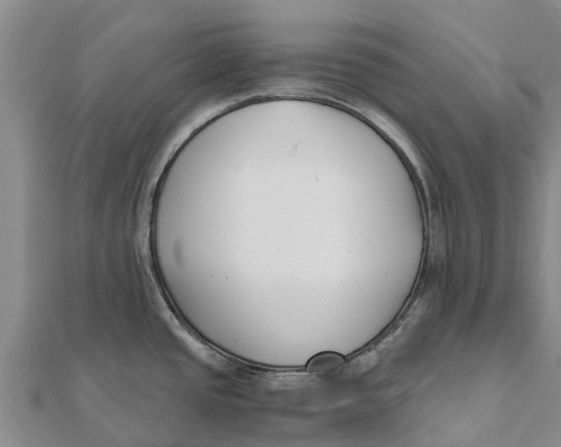 X0000111531437200908041255