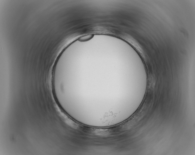 X0000111531439200908041255