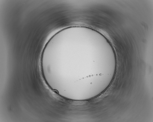 X0000111531440200908041255