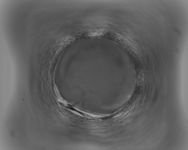 X0000111531441200908041255