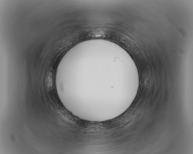 X0000111531442200908041255