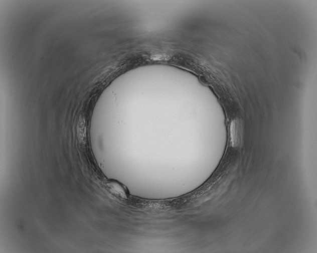 X0000111531443200908041255