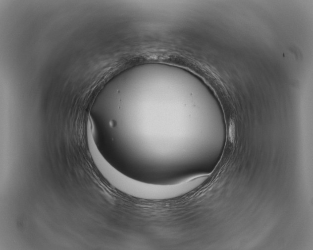 X0000111531444200908041255