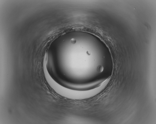 X0000111531445200908041255