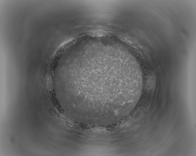 X0000111531446200908041255